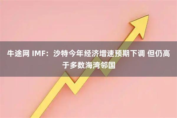 牛途网 IMF：沙特今年经济增速预期下调 但仍高于多数海湾邻国