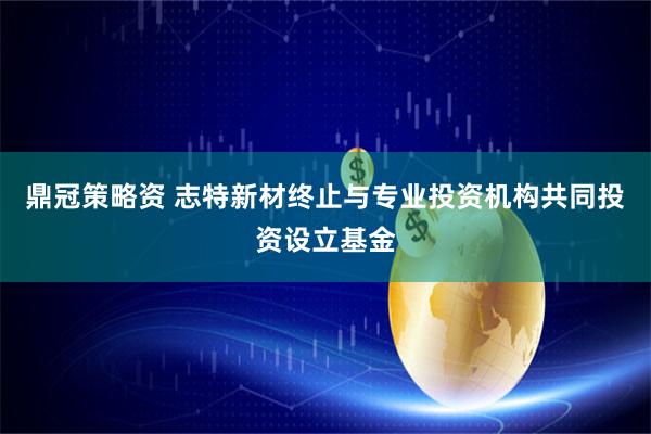 鼎冠策略资 志特新材终止与专业投资机构共同投资设立基金